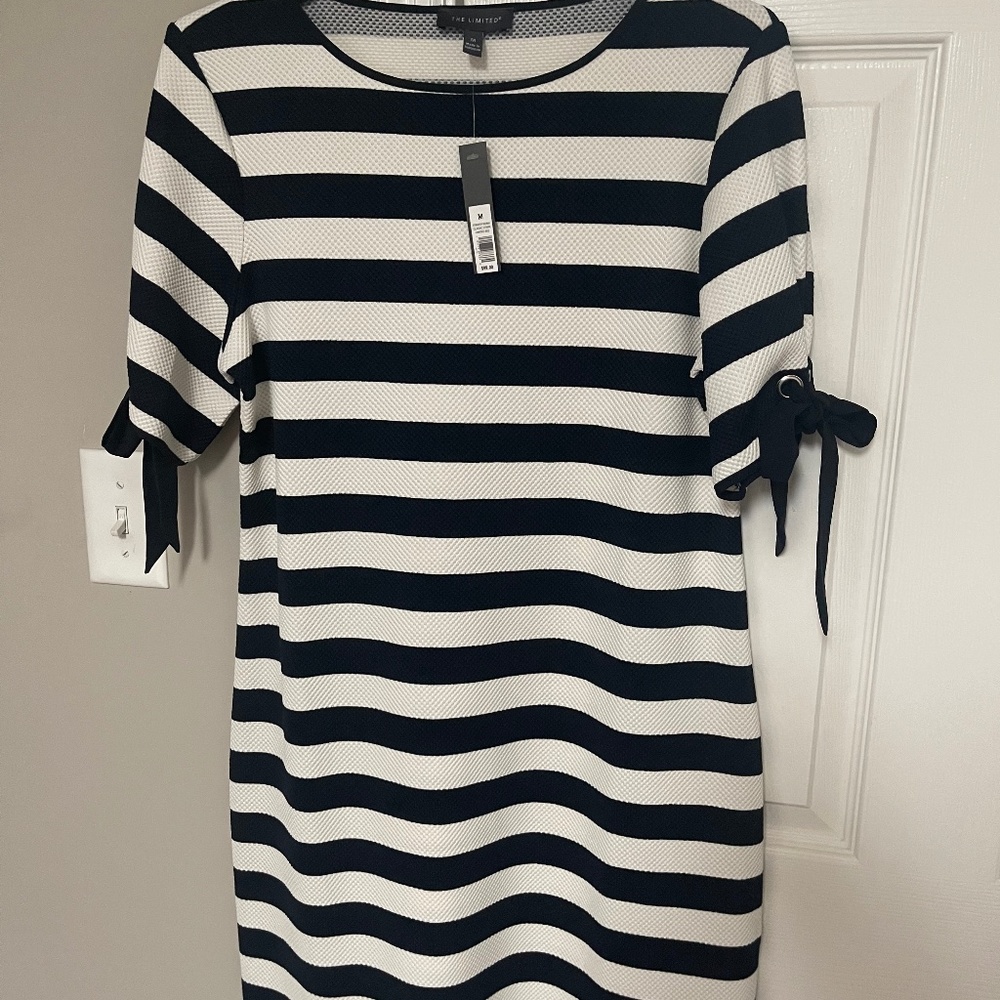 The Limited  - Blue/White Stripped Dress_Size M